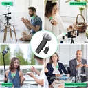 Microfono Balita Inalambrico Ulanzi WM10 Tipo C