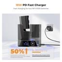 NP-FZ10 Modular Dual-Slot Fast Charger