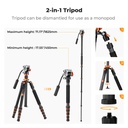 Tripode Monopie K&f Concept KF09.158 170cm Cabezal Fluido
