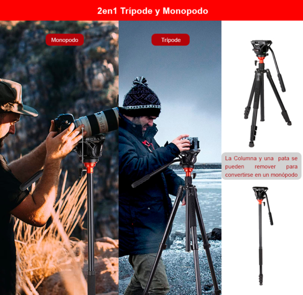 Tripode Coman DF06 Cabezal Fluido Q5S Video Foto 179 Cm