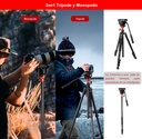 Tripode Coman DF06 Cabezal Fluido Q5S Video Foto 179 Cm