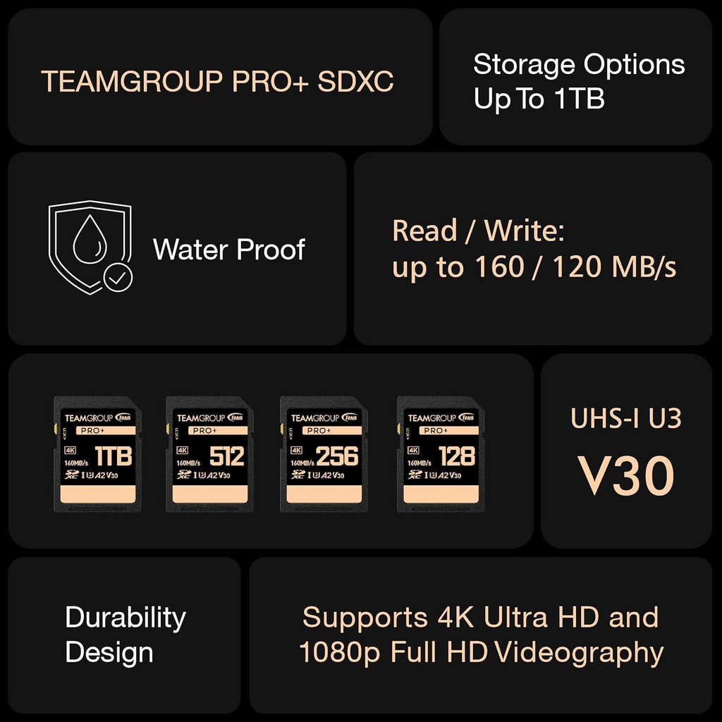Memoria SD 256gb TEAMGROUP PRO 256GB UHS-I U3 A2 V30 4K