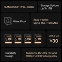 Memoria SD 256gb TEAMGROUP PRO 256GB UHS-I U3 A2 V30 4K