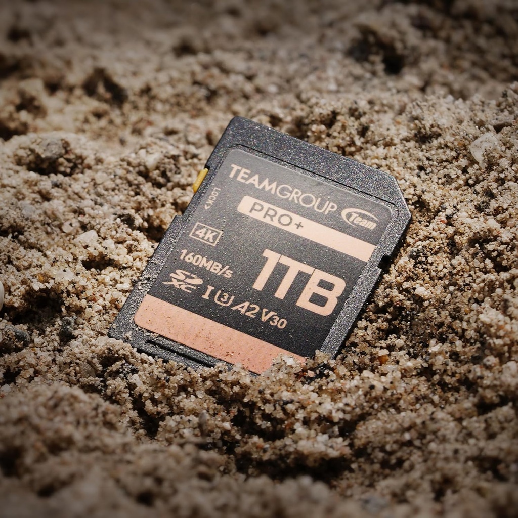 Memoria SD 256gb TEAMGROUP PRO 256GB UHS-I U3 A2 V30 4K