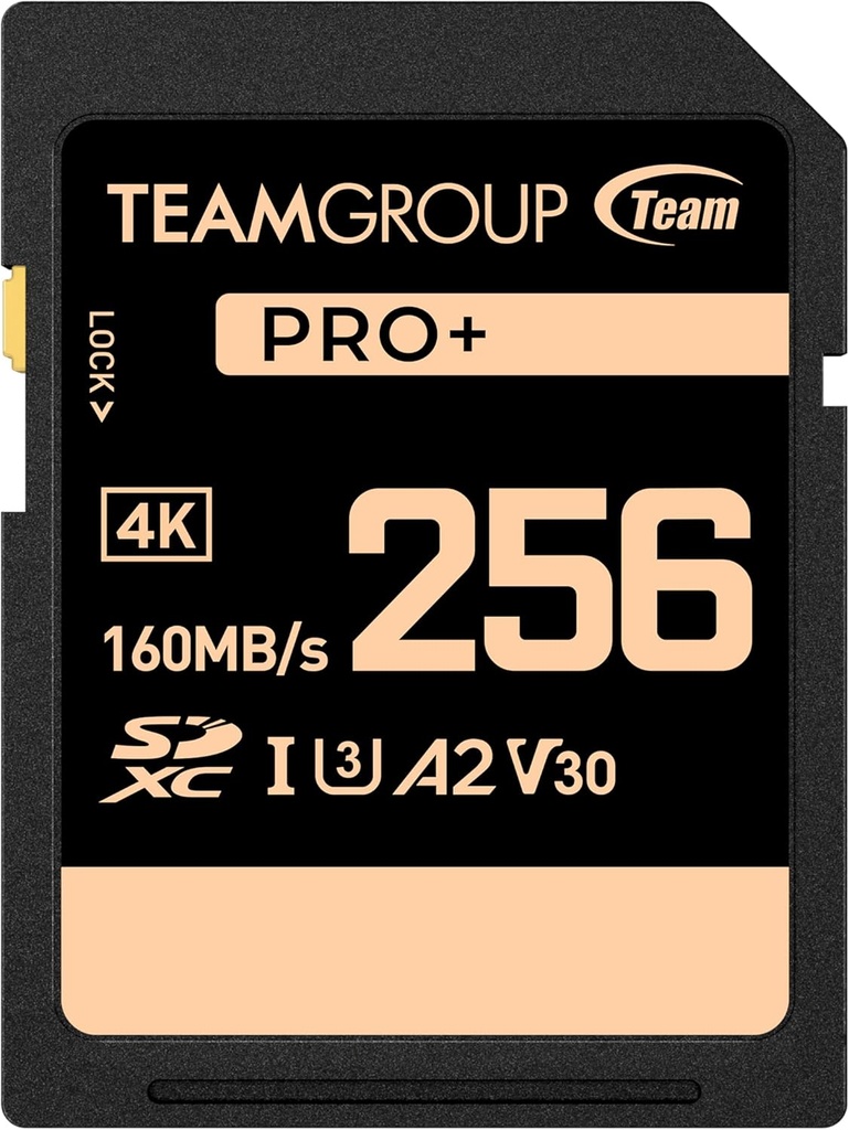 Memoria SD 256gb TEAMGROUP PRO 256GB UHS-I U3 A2 V30 4K
