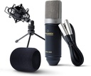 Microfono Condensador Marantz Mpm1000 Xlr Phantom Power