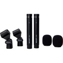 Microfono Condensador Tipo Lapiz Zoom Zpc-1 El Par